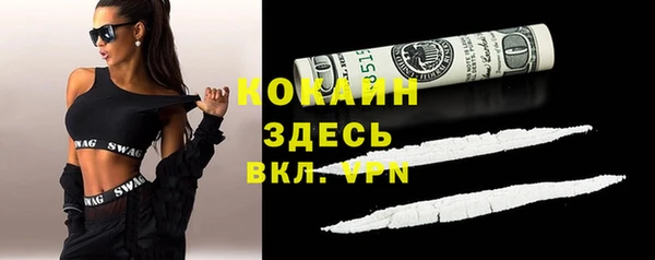 метадон Елизово