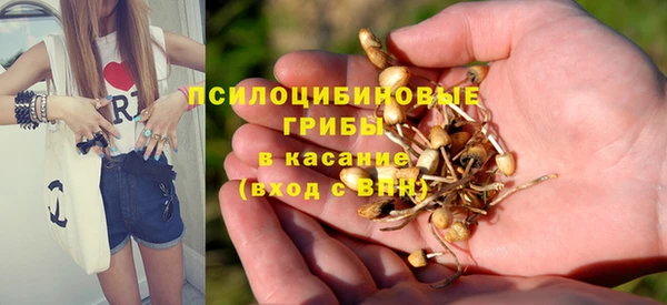 бошки Беломорск
