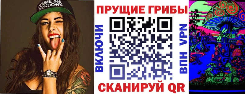 где найти Ясногорск Псилоцибиновые грибы мицелий
